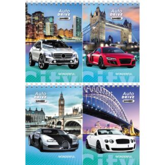 Блокнот 40л А6 гребень клетка МАШИНЫ И ГОРОД ассорти,обл. картон хром,блок офсет "Profit"