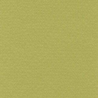 Бумага для пастели Lana Colours, 160 г/м, 50х65 см, 25 л, фисташковый