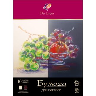 Бумага для пастели "ЛЮКС" в папке, А3, 10л, 2 цвета Луч