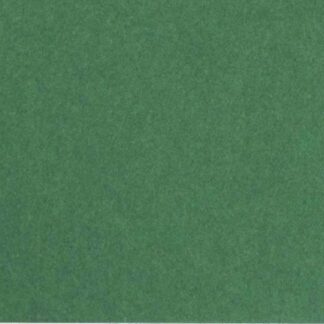 FOLIA Бумага цветная, 300 г/м, A4, 10 л, зеленый еловый