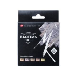 Мастер-Класс художественная пастель 5цв Телесные оттенки