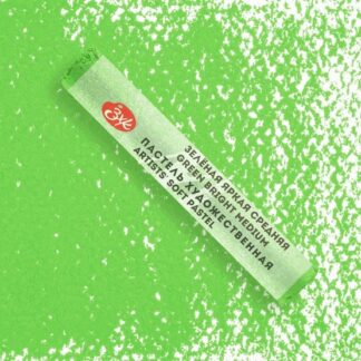 Мастер-Класс художественная пастель Зеленая яркая средняя