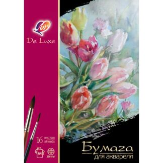 Папка для акварели А4, 16л Луч ЛЮКС