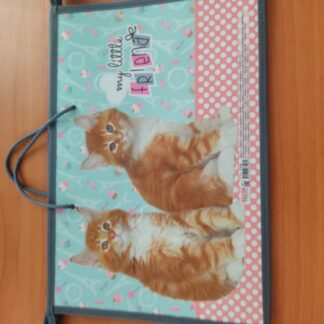 Папка для тетрадей А4 молния сверху на шнурке Рыжие котята пластик