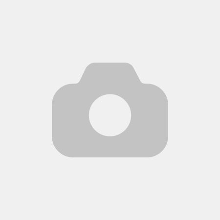 Набор для каллиграфии "Сонет", 4 остроконечных пера, прямой деревянный держатель, блистер