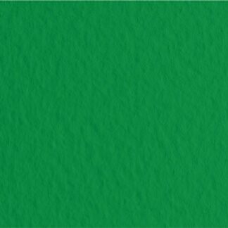 Бумага для пастели Fabriano Tiziano, 160 г/м2, 21х 29,7 см, 50 л, Biliardo/Темно-зеленый