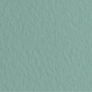 Бумага для пастели Fabriano Tiziano, 160 г/м2, 50х65 см, 10 л, Salvia/Темно-шалфейный УЦЕНКА (Замятие края)